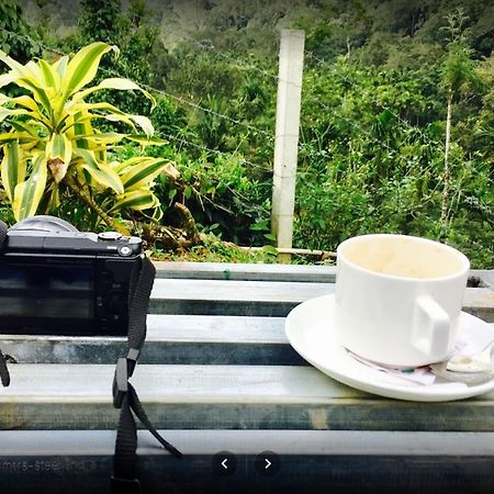 Oxyfarm Resorts Wayanad Luaran gambar